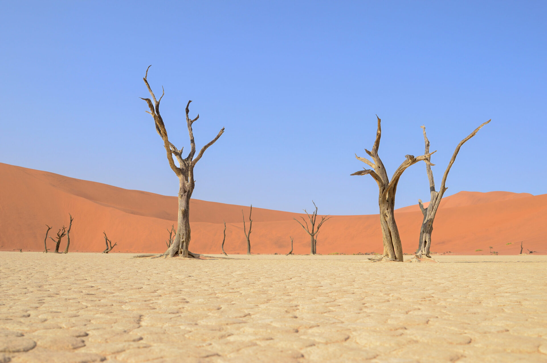 Deadvlei at Sossusvlei. Namibia. In the haunting stillness of Deadvlei, Namibia, petrified trees stand as silent witnesses to the relentless passage of time and the harsh impacts of climate change. Lizane Louw captures the stark beauty of this desolate landscape, emphasizing the enduring yet fragile balance of nature.