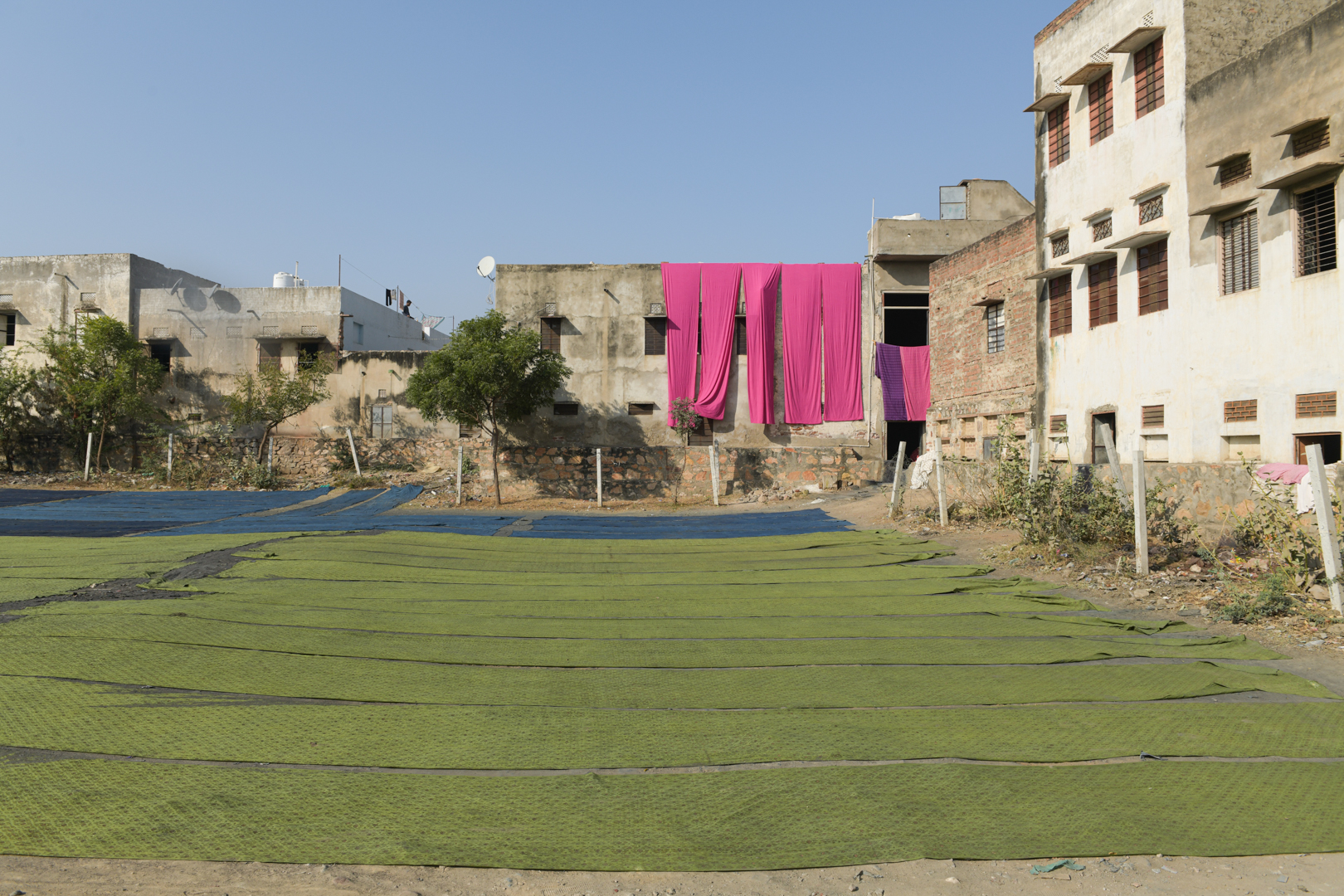 Artisans lay freshly dyed fabrics in shades of green, blue, and pink to dry under the Rajasthani sun, next to a traditional block printing workshop in India. The craftsmen hang and spread the vibrant textiles across open spaces and the fields between the buildings. This scene highlights the labour-intensive and meticulous nature of the block printing crafts. This knowledge has been passed down through generations and is a significant part of India's economy and cultural heritage. Photo Lizane Louw